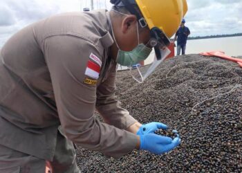 Palm Kernel asal Kaltara di Ekspor ke Malaysia