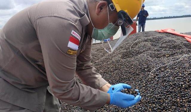 Palm Kernel asal Kaltara di Ekspor ke Malaysia