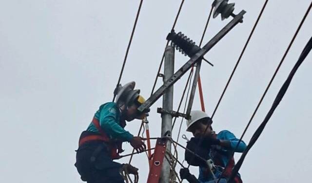 Lakukan Pekerjaan Emergency, Kerusakan di Penyulang Tarakan 01 Teratasi