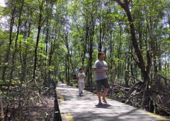 Dampak Pandemi Covid-19, Pendapatan KKMB Menurun