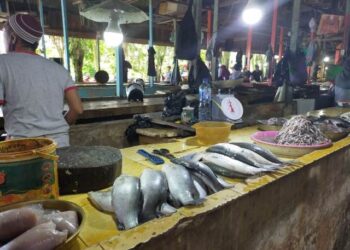 Ekonomi Kaltara Diperkirakan Menguat di Triwulan III dan IV Tahun 2020