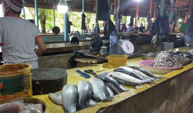 Ekonomi Kaltara Diperkirakan Menguat di Triwulan III dan IV Tahun 2020