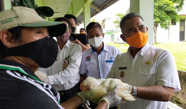 Panen Perdana, Khairul Harap Perumda Tarakan Agrobisnis Mandiri Tidak Kecewakan Pemkot dan Masyarakat