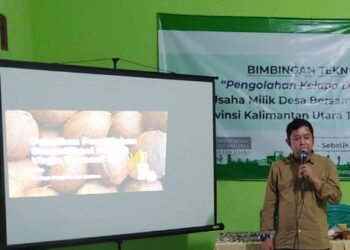 Pembangunan Kawasan Pedesaan Berbasis Kelapa Dalam