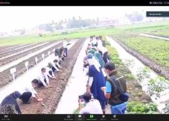 Perkuat Ketahanan Pangan Nasional melalui Pemberdayaan Perempuan