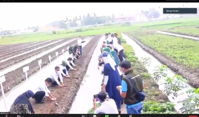 Perkuat Ketahanan Pangan Nasional melalui Pemberdayaan Perempuan