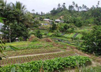 Dana Desa 2021 Meningkat Rp 20,4 Miliar