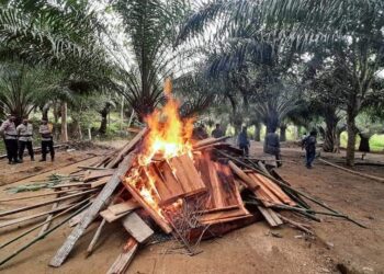 Polres Nunukan Bongkar Praktek Sabung Ayam, Bakar Alat Kerja untuk Perjudian