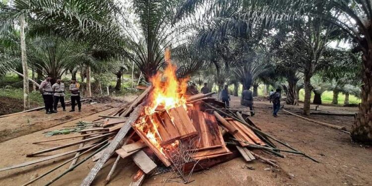 Polres Nunukan Bongkar Praktek Sabung Ayam, Bakar Alat Kerja untuk Perjudian