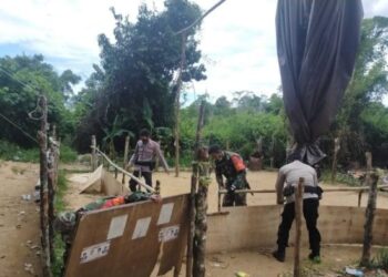 Polri Bersama TNI Bongkar Arena Sabung Ayam di Sebatik Malaysia