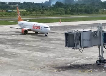 Selama Nataru, Penumpang Menurun, Cargo Meningkat