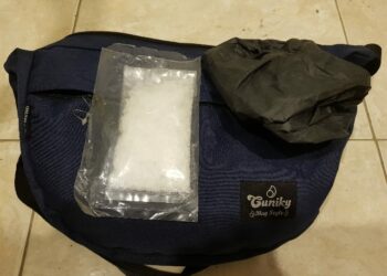 Seorang IRT Berstatus PNS Diciduk Polisi Membawa Sabu 50 Gram