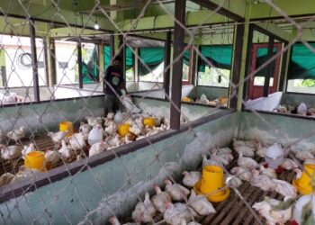 Realisasi Investasi 2020 Capai Rp 3,22 Triliun