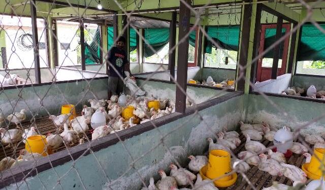 Realisasi Investasi 2020 Capai Rp 3,22 Triliun