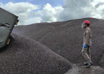 1.900 Ton Palm Kernel dari Berau Diekspor ke Malaysia