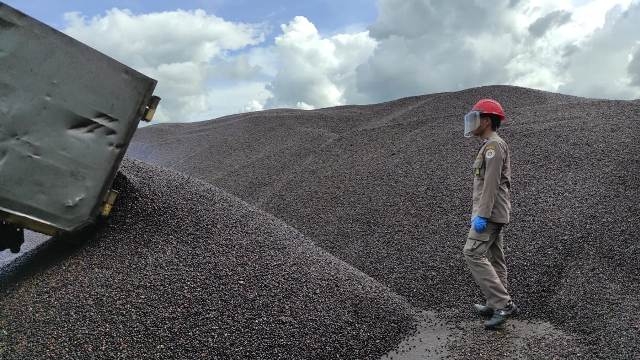 1.900 Ton Palm Kernel dari Berau Diekspor ke Malaysia