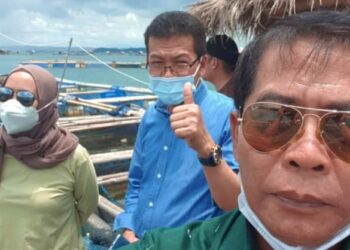 Gubernur Tertarik Budidaya Lobster di Kaltara