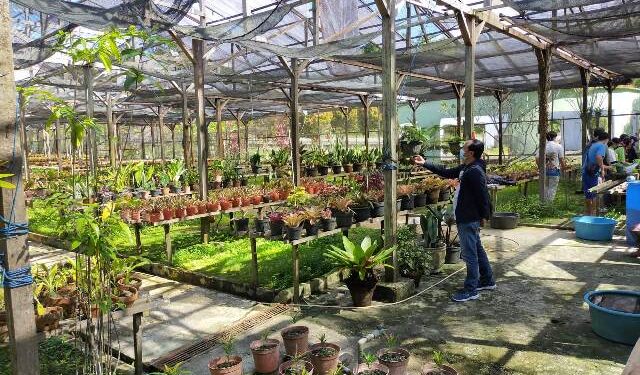 Pemkot Gandeng Pertamina EP Asset 5 Tarakan Benahi Kebun Anggrek