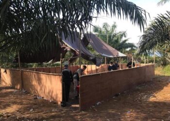 17 WNI Diamankan Saat Judi Sabung Ayam di Wilayah Malaysia