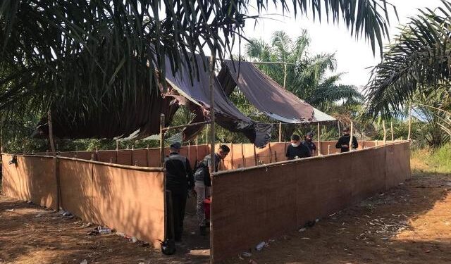 17 WNI Diamankan Saat Judi Sabung Ayam di Wilayah Malaysia