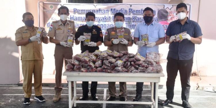 Tidak Dilengkapi Setifikat Kesehatan, 1,9 Ton Daging Kerbau Ilegal Dimusnahkan