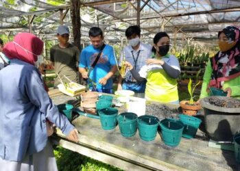 Komitmen Upaya Konservasi Lingkungan, Pertamina EP Asset 5 Tarakan Field Benahi Kebun Raya Anggrek