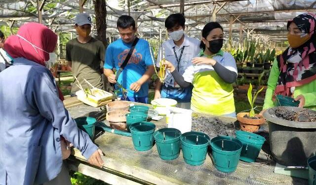 Komitmen Upaya Konservasi Lingkungan, Pertamina EP Asset 5 Tarakan Field Benahi Kebun Raya Anggrek