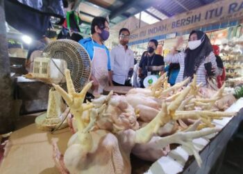 Harga Ayam di Pasar Gusher Masih Masih Normal