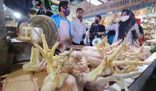 Harga Ayam di Pasar Gusher Masih Masih Normal