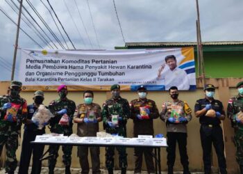 Karantina Pertanian Tarakan Musnahkan 870,1 Kilogram Daging Ilegal