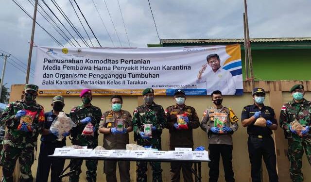 Karantina Pertanian Tarakan Musnahkan 870,1 Kilogram Daging Ilegal