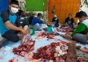 Animo Jemaah Tinggi, Masjid Al-Amin Potong 5 Ekor Sapi dan 8 Ekor Kambing
