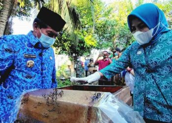 Kembangkan Sektor Peternakan, Gubernur Zainal Siap Bantu Pasarkan Madu Kelulut