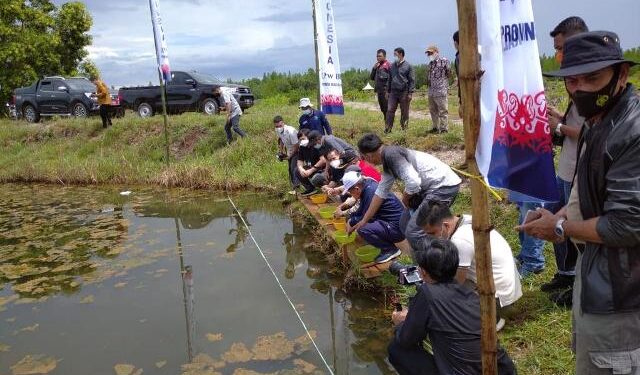 Budidaya Udang Windu dengan Metode Lactobacillus Hasilkan Panen Kedua, KPwBI Kaltara Berharap Dapat Diterapkan Petambak di Kaltara