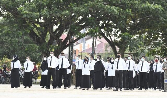 5.393 Pelamar CASN di Lingkungan Pemprov Kaltara Lolos Seleksi Administrasi