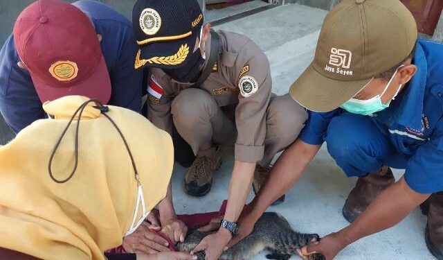 Karantina Pertanian Tarakan Dukung Pembebasan Rabies di Kepulauan Derawan