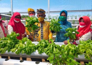 Luas Lahan Terbatas, Wali Kota Khairul Sarankan Perlunya Pemanfaatan Teknologi