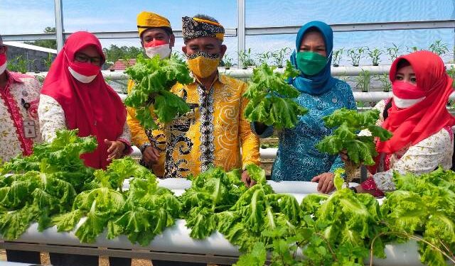 Luas Lahan Terbatas, Wali Kota Khairul Sarankan Perlunya Pemanfaatan Teknologi