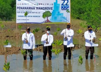 Pemkot Tarakan Dukung Ekonomi Biru untuk Indonesia dengan Menanam Mangrove