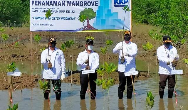 Pemkot Tarakan Dukung Ekonomi Biru untuk Indonesia dengan Menanam Mangrove