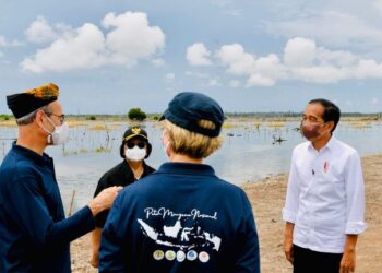 Presiden Jokowi Tanam Mangrove Bersama Dubes dan Masyarakat Tana Tidung