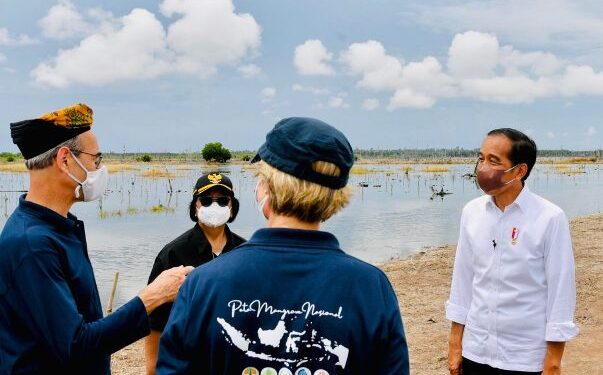 Presiden Jokowi Tanam Mangrove Bersama Dubes dan Masyarakat Tana Tidung