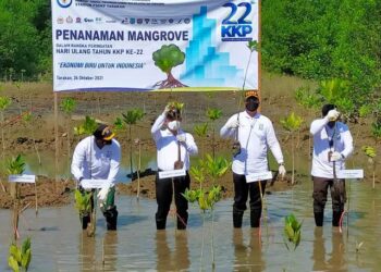 Wujudkan Ekonomi Biru untuk Indonesia Maju, Sebar 2 Ribu Bibit Mangrove di Tarakan