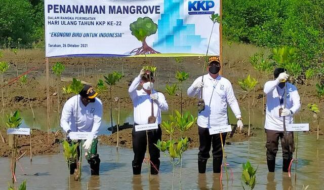 Wujudkan Ekonomi Biru untuk Indonesia Maju, Sebar 2 Ribu Bibit Mangrove di Tarakan