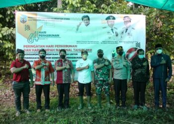 Kaltara Siapkan Ekspor Komoditas Unggulan Pertanian dari Sawit hingga Daging Sapi