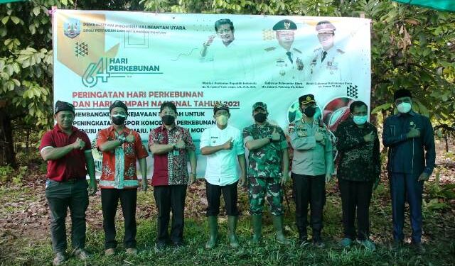 Kaltara Siapkan Ekspor Komoditas Unggulan Pertanian dari Sawit hingga Daging Sapi