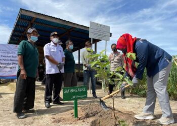Peringati Hari Menanam Pohon Nasional, SKK Migas dan JOB Simenggaris Tanam 1.100 Bibit Tanaman Buah di Tana Lia