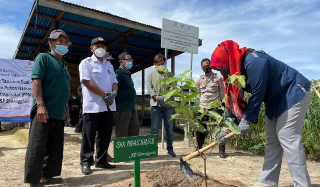 Peringati Hari Menanam Pohon Nasional, SKK Migas dan JOB Simenggaris Tanam 1.100 Bibit Tanaman Buah di Tana Lia
