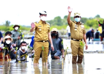 Rehabilitasi Mangrove Dikucur Rp 95 Miliar