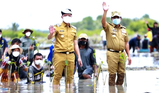 Rehabilitasi Mangrove Dikucur Rp 95 Miliar